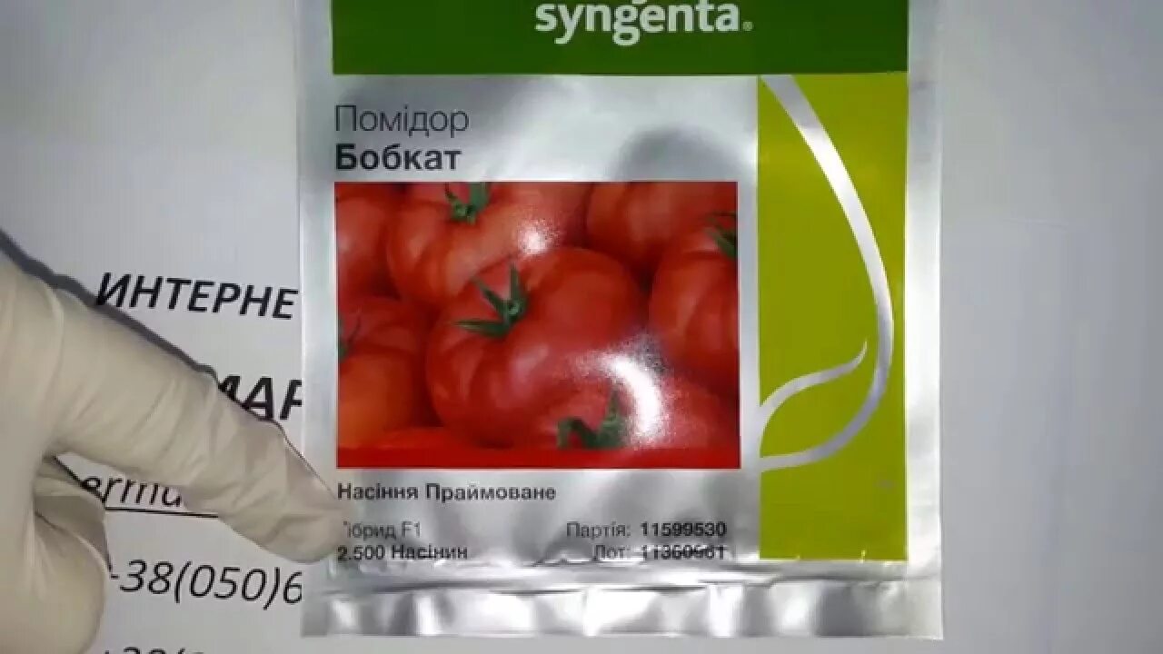Бобкат описание сорта. Томат бобкат сингента. бобкат томат голландия. томат гравитет f1. томат бобкат ф1.