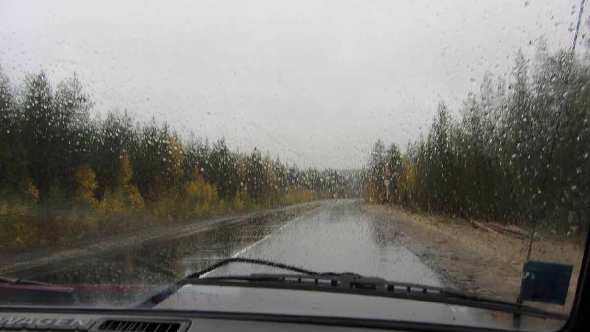 дождь машина.