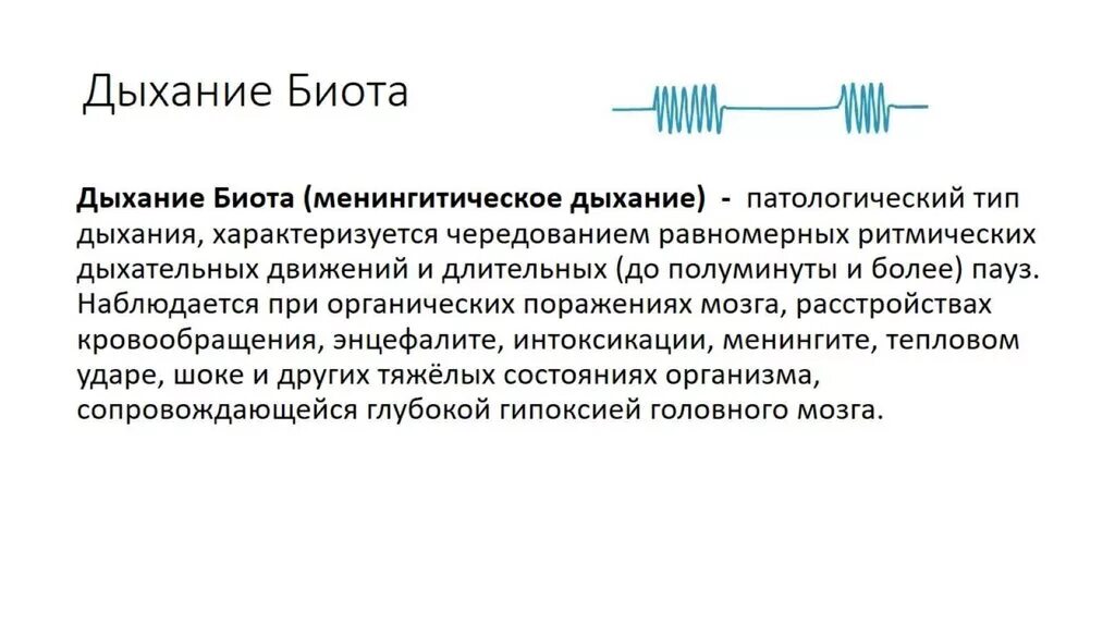 Какой тип дыхания. Патологическое дыхание Биота. Дыхание Биота и Чейна Стокса. Дыхание Биота характеризуется. Механизм формирования дыхания Биота.