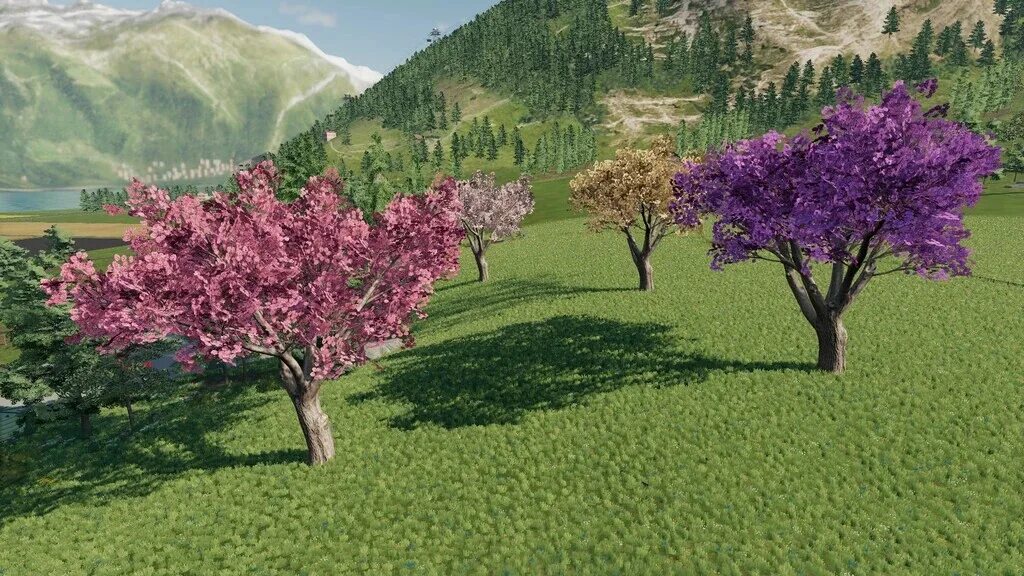 Fs22 дерево. Лапачо аргентина. лапачо дерево. аргентина , лапачо . дерево. розовое лапачо.