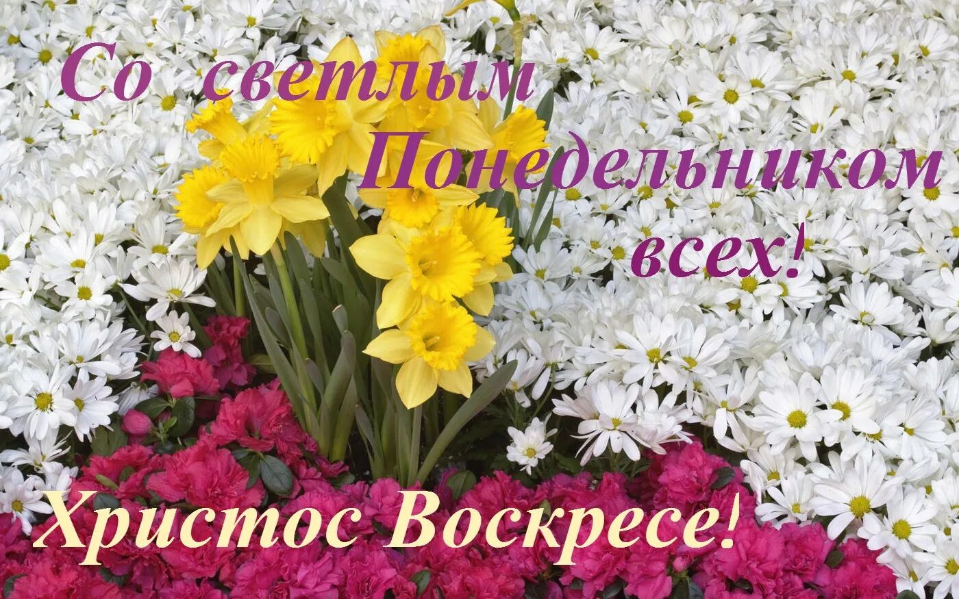 Доброе утро понедельника после пасхи. Поздравления со светлым понедельником. светлый понедельник. доброго понедельника светлой седмицы. открытки со светлым понедельником.