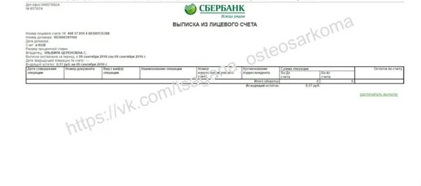 У меня 90 миллиардов на счету 124. Выписка расчетного счета Сбербанк. Банковская выписка Сбербанк. Выписка из лицевого счета Сбербанк. Выписка из лицевого счета банка.