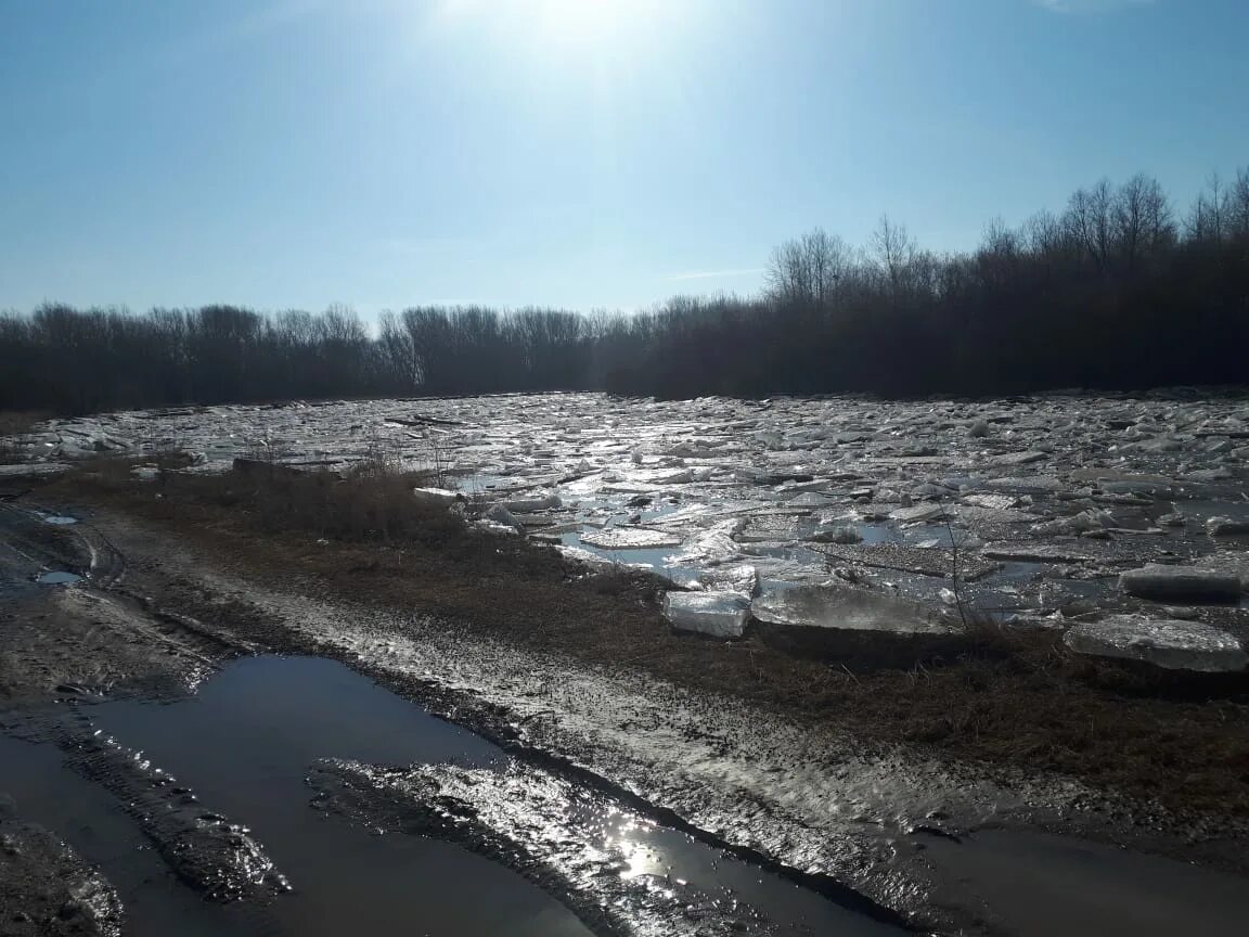 Уровень реки алей рубцовск