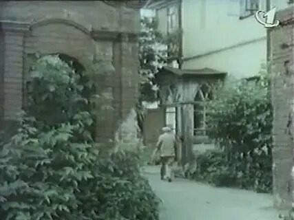 Золотые рыбки 1981