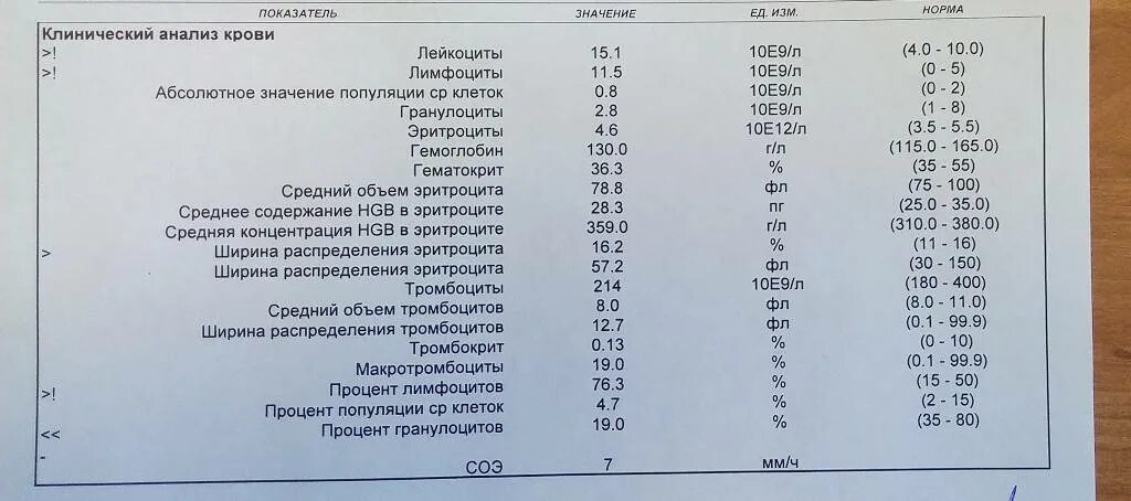 Анализ крови лимфоциты норма. Анализ крови нейтрофилы лимфоциты норма. Норма лимфоцитов и гранулоцитов. Лимфоциты крови у ребенка 28,6. Эритроциты повышены лимфоциты понижены