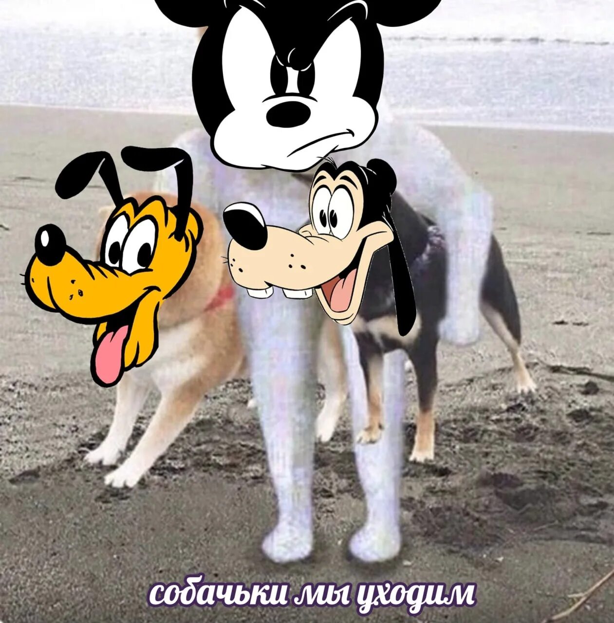 Телеканал солнце вместо Диснея. Disney канал солнце. Дисней закончил вещание. Дисней прекращает вещание.