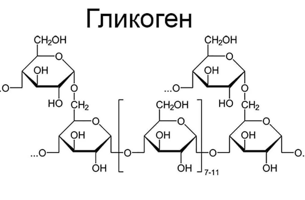 Гликоген формула химическая. Химическая структура гликогена. Строение гликогена формула. Молекула гликогена формула. Глюкоген