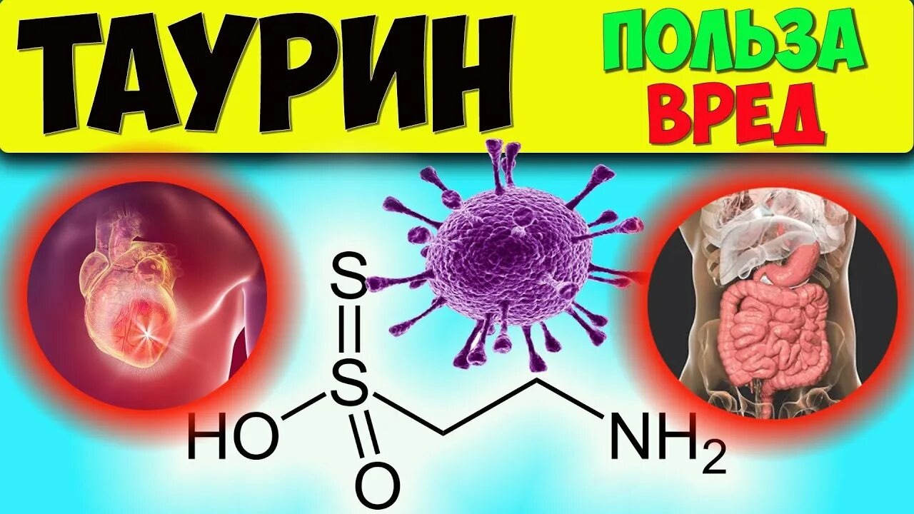 В каких продуктах содержится таурин. Механизм действия таурина. Польза таурина для человека. Польза таурина для человека. Таурин.