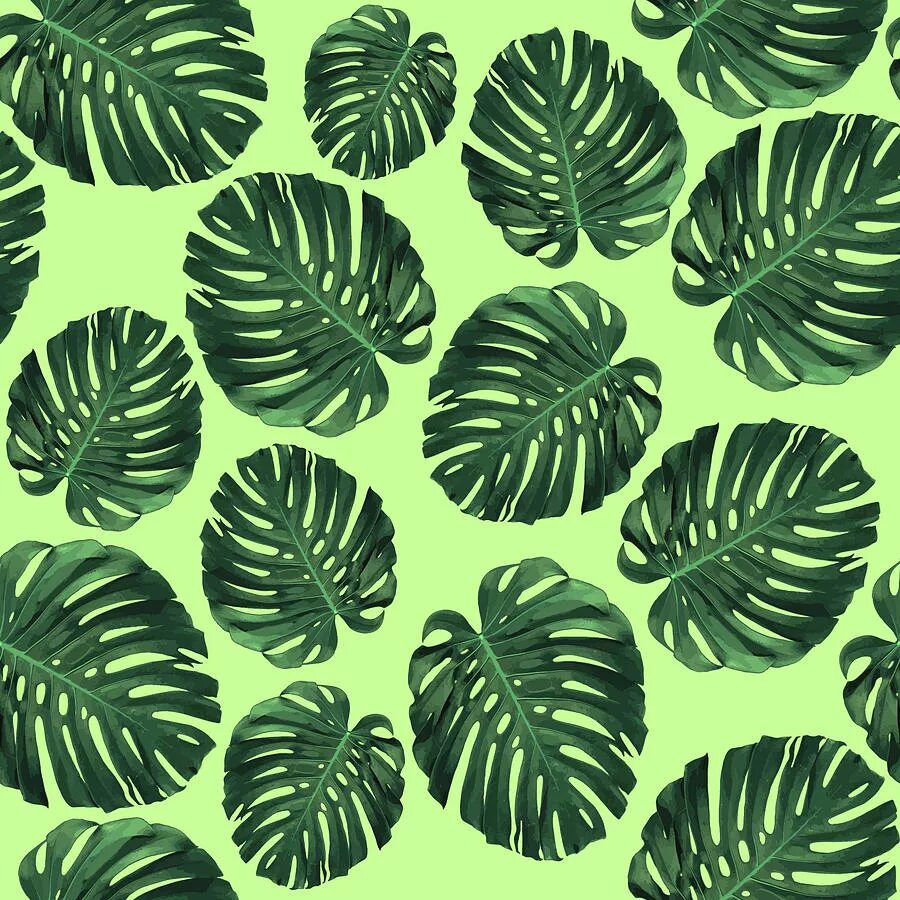 Monstera Leaf pattern. Тропические листья. Тропический принт. Тропические листья паттерн.
