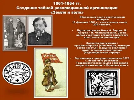 Чем занималась организация земля и воля