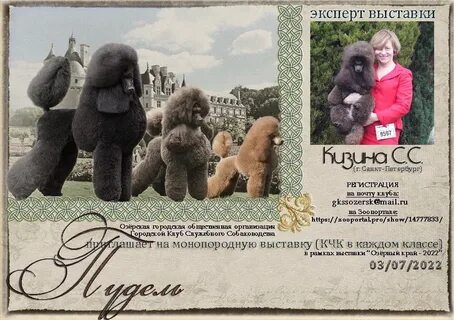 Зоопортал новосибирск