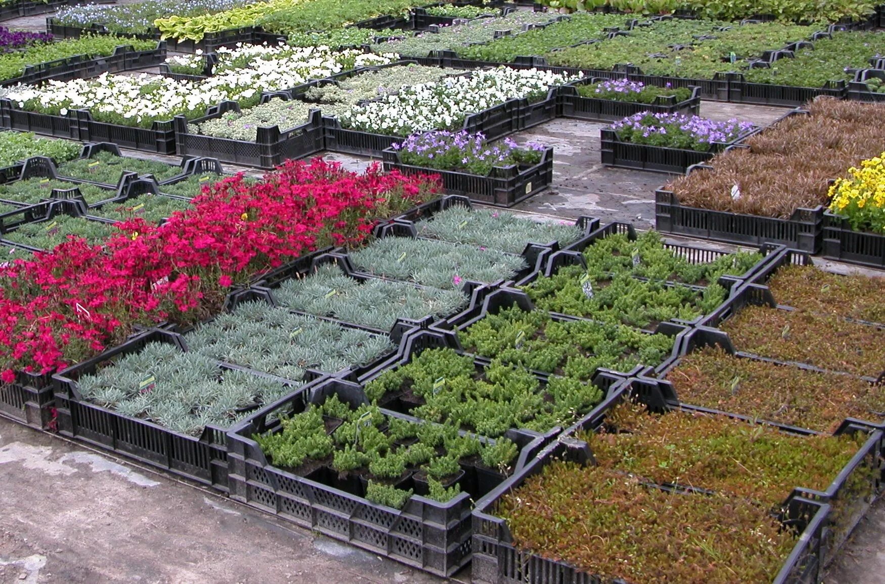 Летний огород. Интерьер цветочного магазина в стиле эко. Продуктовый магазин в стиле прованс. Сад и огород санкт петербург каталог. Дача сад огород.