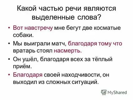 Сосед какой прилагательные