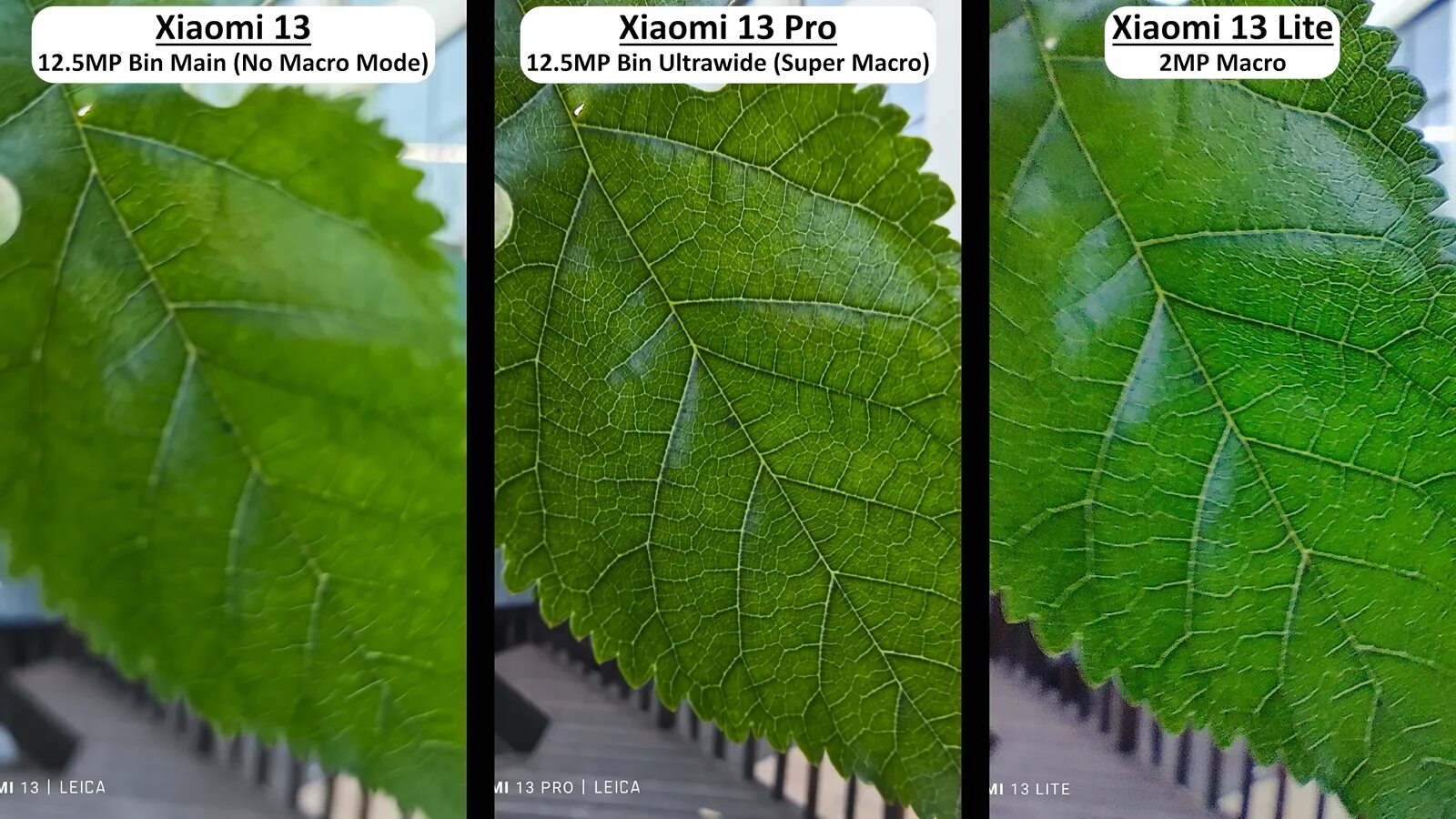 Чем отличается xiaomi 13 от 13t. Чем отличается xiaomi 13 от 13t