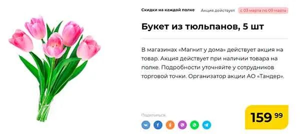 Цветы в магните цена на сегодня живые. Тюльпаны в магните цена. Цветы в магните цена на сегодня. Сколько стоит один тюльпан в Перми.