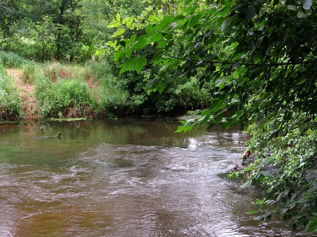 река пехорка московская область. река горенка в балашихе. речка пехорка в люберцах. река пехорка на карте московской области карта. речка пехорка в люберцах.