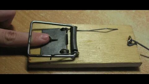 Допускается ли использование мышеловок ответ