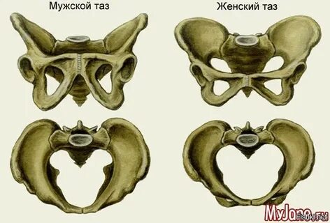 Лесби душ порно