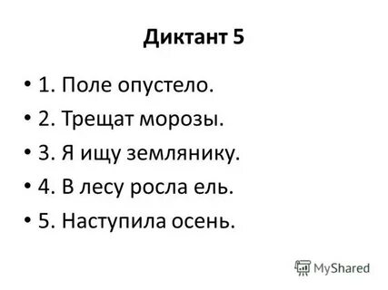 Диктант над полями и лесами