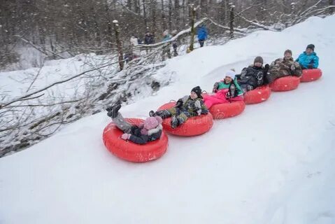 Жуки киров