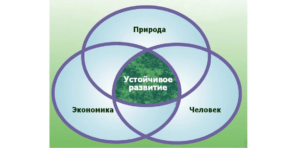 Устойчивое развитие. Принципы устойчивого развития. Устойчивое развитие человечества. Модель устойчивого развития.