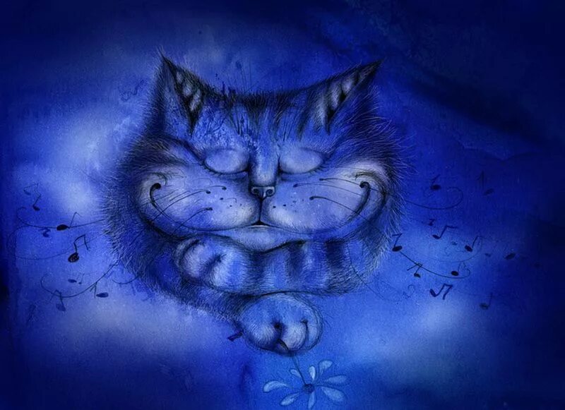 Синий котик. Синие коты спокойной ночи. Ночной кот. Спокойной ночи с кошками. Синий кэт