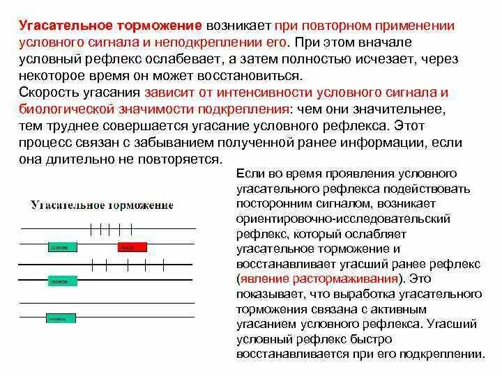 Угасательное торможение. Угасательное торможение условных рефлексов. угасательное условное торможение примеры.