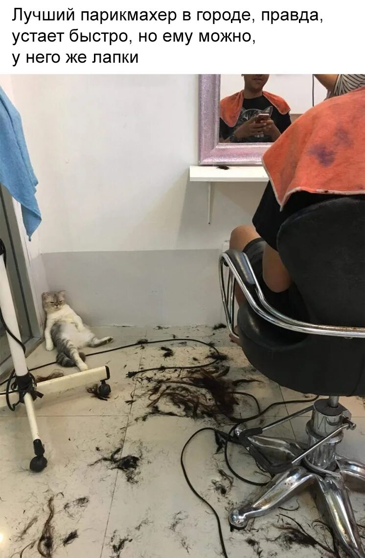 Уставший мастер маникюра. Хорошие качества парикмахера. Смешной парикмахер. Парикмахер устал. Прикольные падения девушек.