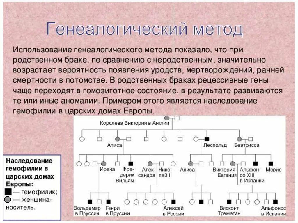 Пример генеалогического метода. Генеалогический метод в биологии. Родственный брак это в генетике. Близкородственные браки последствия. Почему близкородственные браки