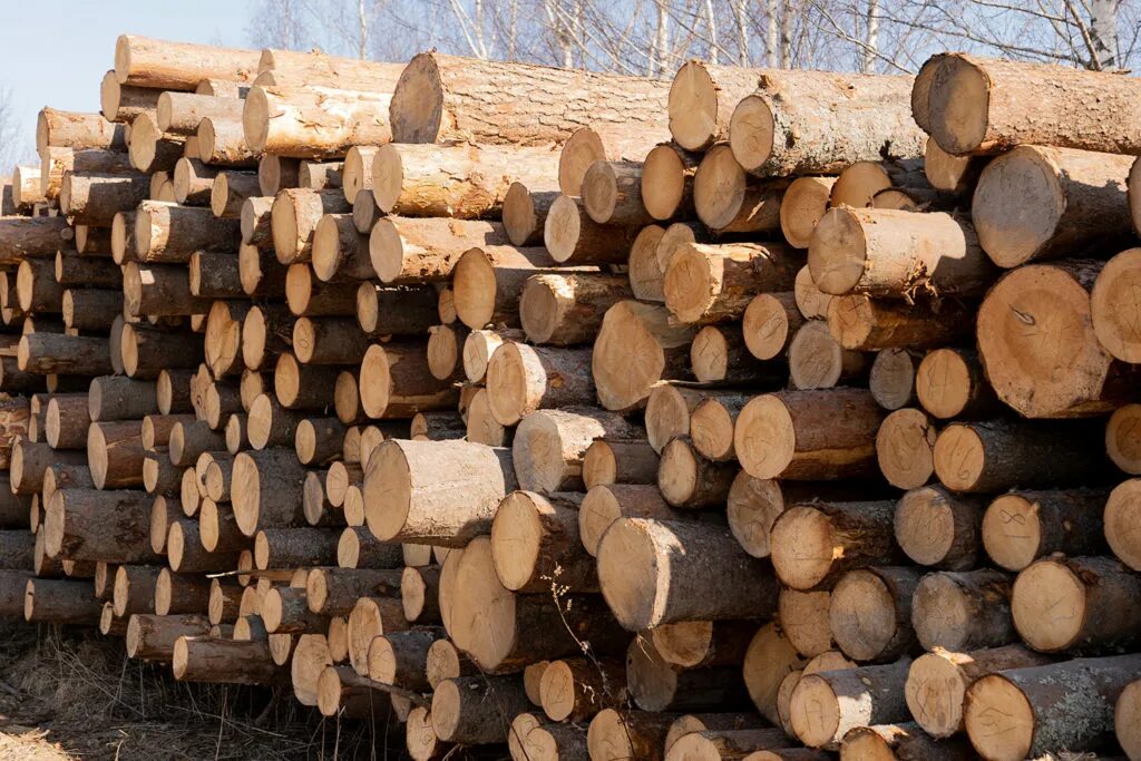 штабель круглого леса. складирование лесоматериалов. склад строительных материалов. складирование хранение пиломатериалов. склад древесины.