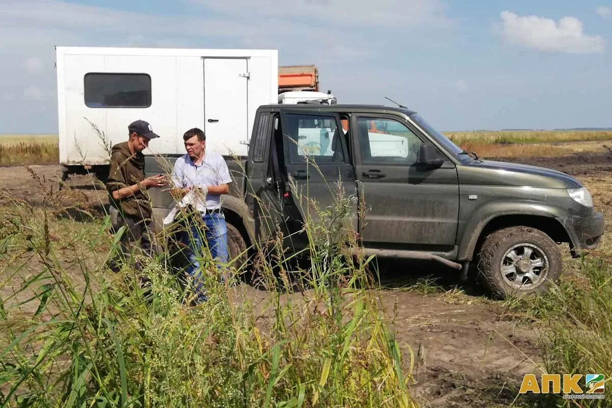 Село нижняя полтавка амурская область. Село полтавка омская область. Верхняя полтавка амурская область. Р п полтавка омская область. Село зеньковка.
