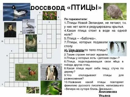 Живое существо сканворд. Кроссворд экология 6 класс английский. Мифологическое животное кроссворд. Корсрвод. Живое существо сканворд.