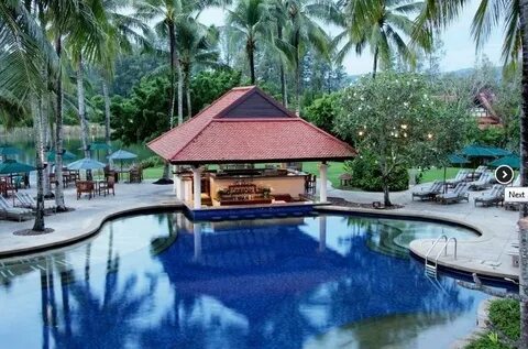 Tree phuket