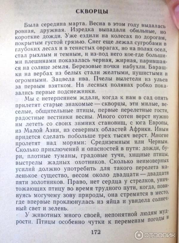 Куприн скворцы читать полностью. Рассказ скворцы Куприн. Краткий пересказ скворцы. Краткий пересказ скворцы Куприн. Куприн скворцы текст.