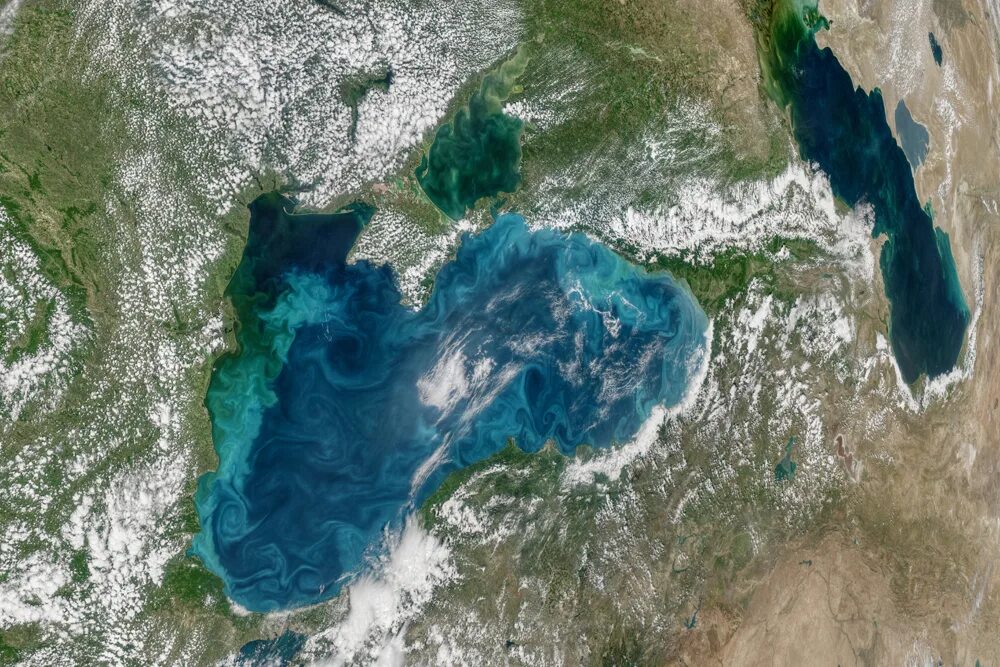 Фото: Черное море стало бирюзово-жемчужным - Российская газета