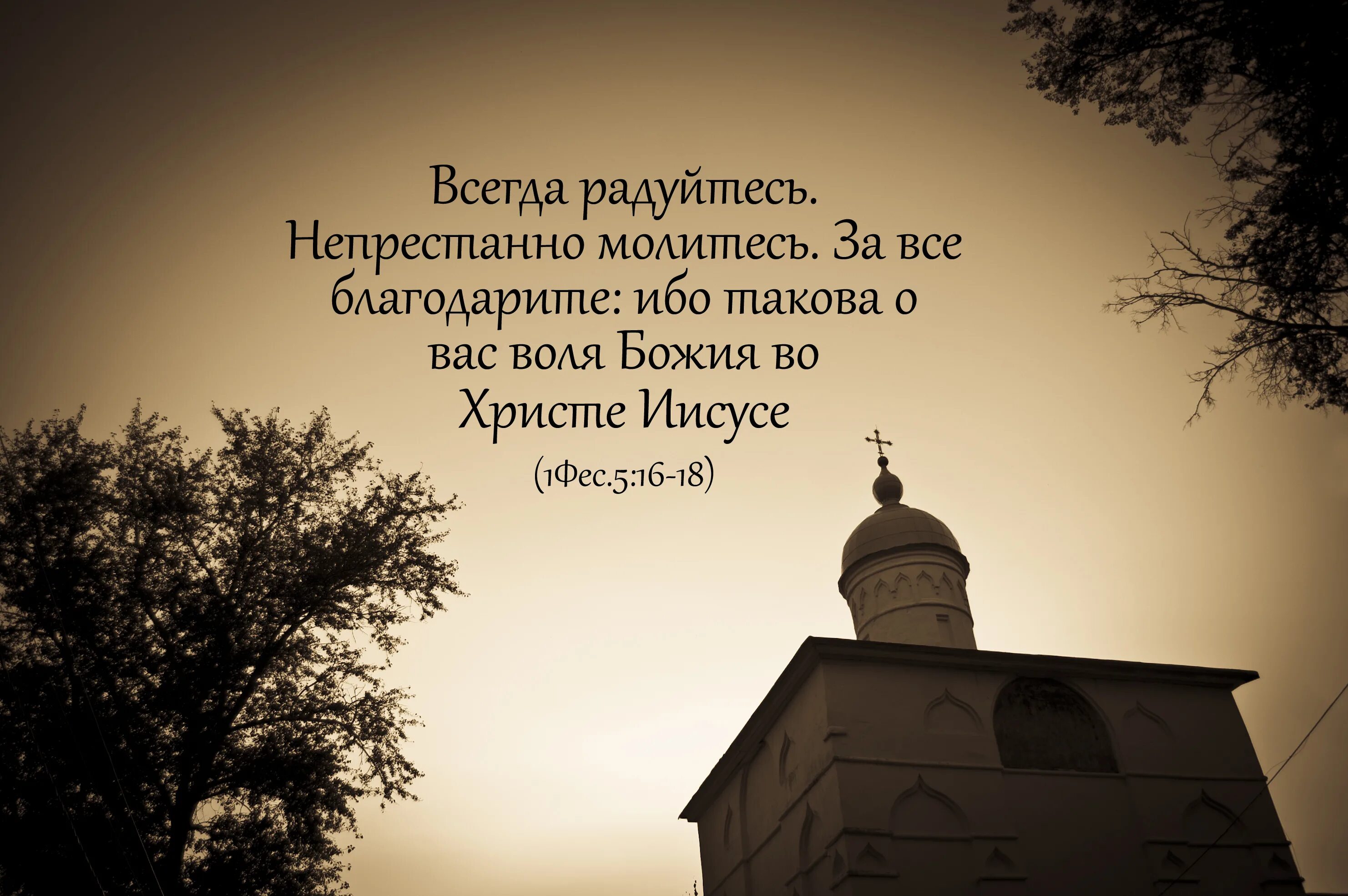 Радуйся иисус христос. Радуйся иисус христос. Изображение иисуса. Радуйся иисус христос. ( jesus).