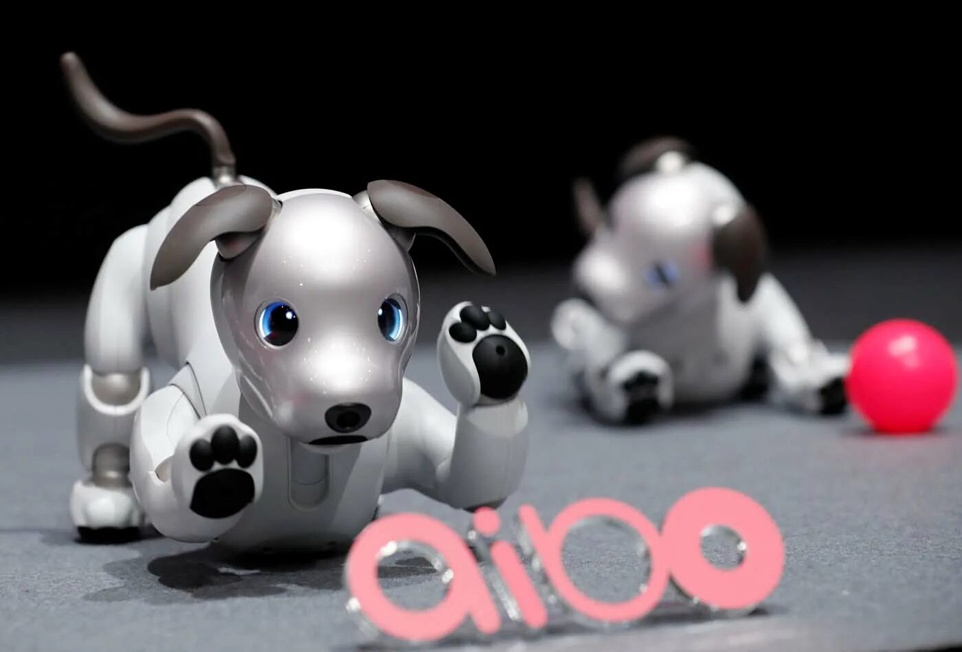 Aibo робот-собака от Sony. Sony Aibo 1999. Робопёс Айбо. Робот собака от сони Айбо. Ai pet