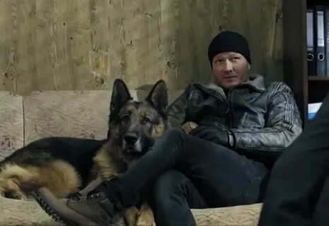 Пес 4 роли