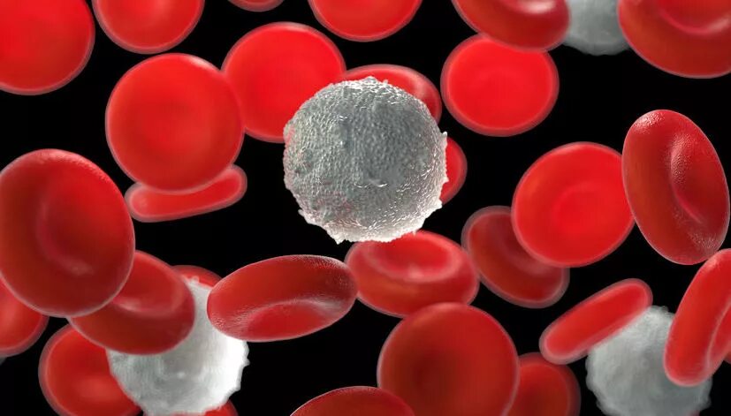 Cell analysis. Single cell.