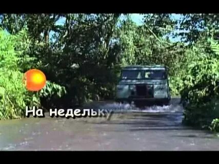 Включи на недельку на 2