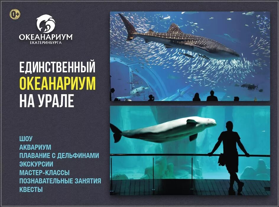 Океанариум свердловской области. Океанариум Екатеринбург. Билеты в океанариум Екатеринбург. Океанариум в Екатеринбурге на Щербакова. Океанариум афиша.