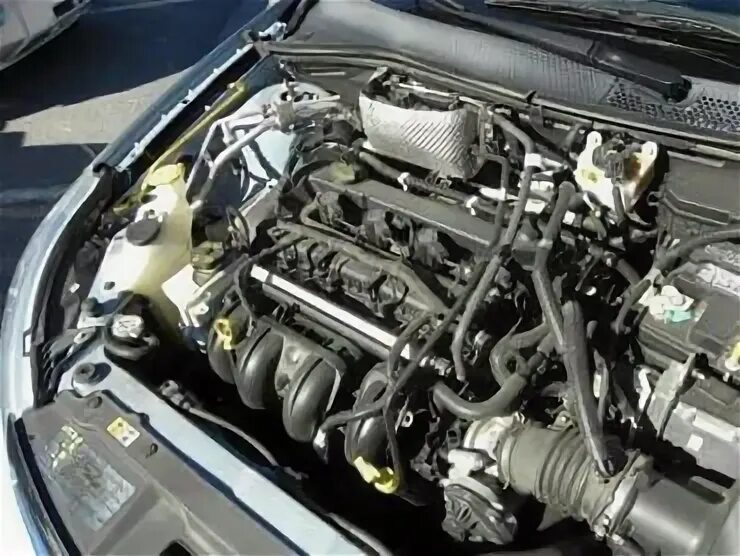 Duratec he 2.3. Ford duratec 2.0. ford мотор duratec 2l. форд фокус 3 2.0 двс. мотор форд фокус 2.0.