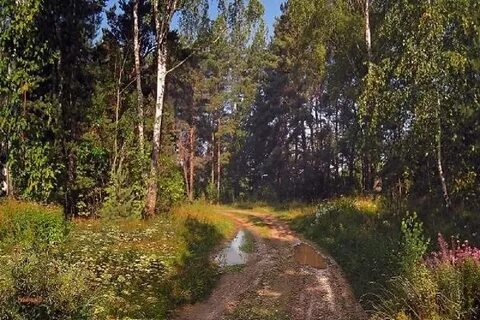 Неминущий ютуб последнее