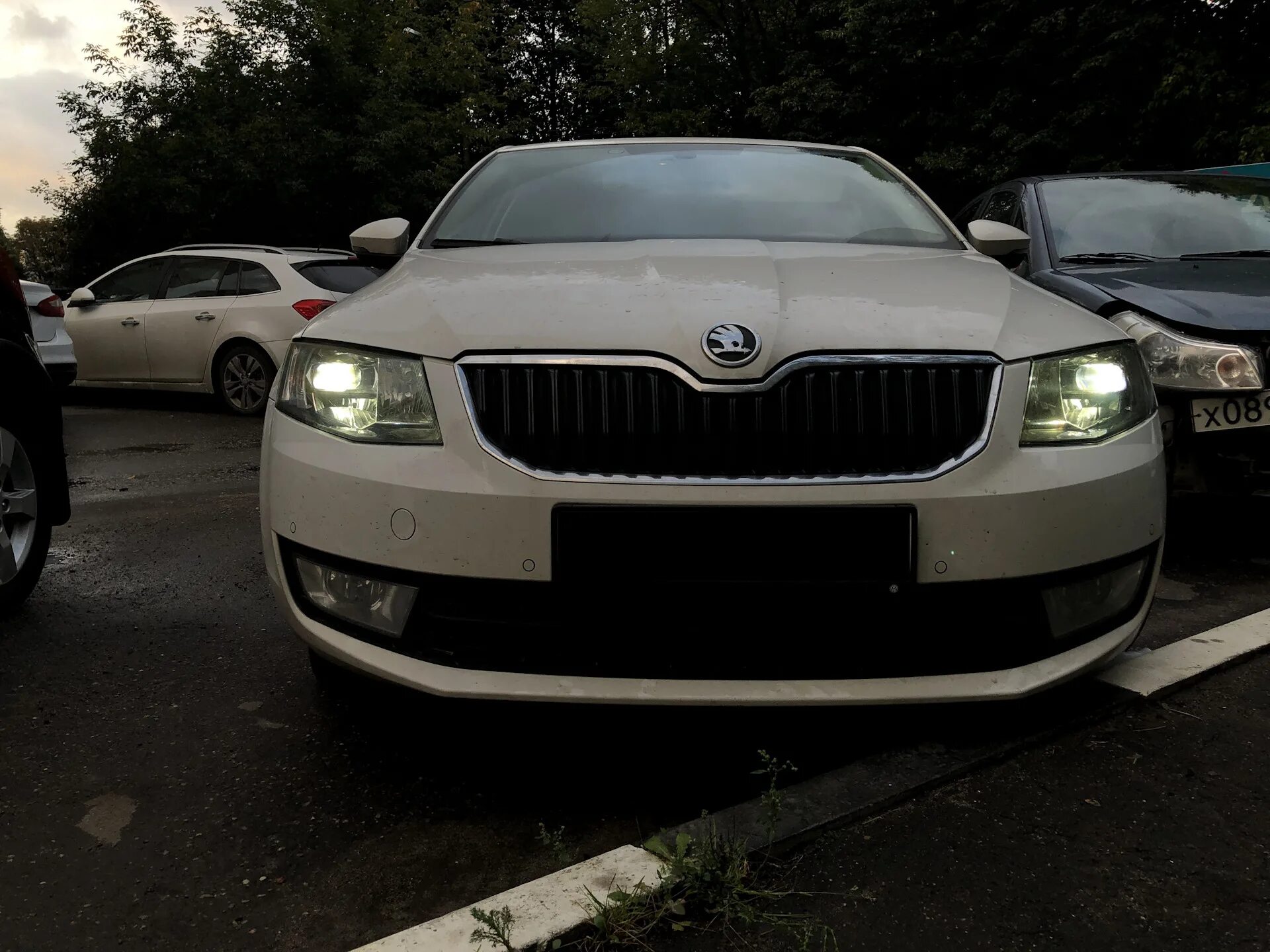 Фары skoda octavia a7. Фары skoda octavia a7
