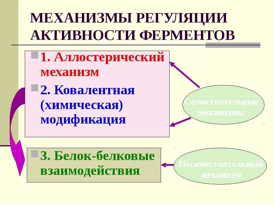 Регуляция активности ферментов ковалентная модификация. Регуляция активности ферментоментов. Регуляция активности ферментов. Механизмы регуляции активности ферментов. Виды регуляции активности ферментов.