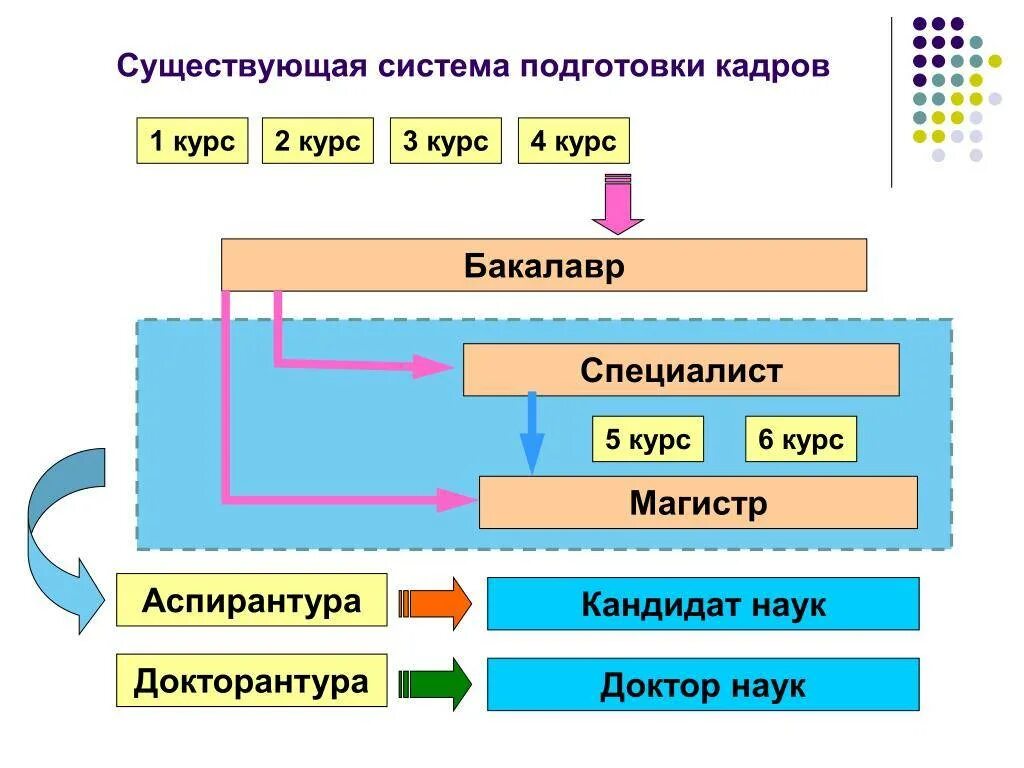 Специалист и магистр