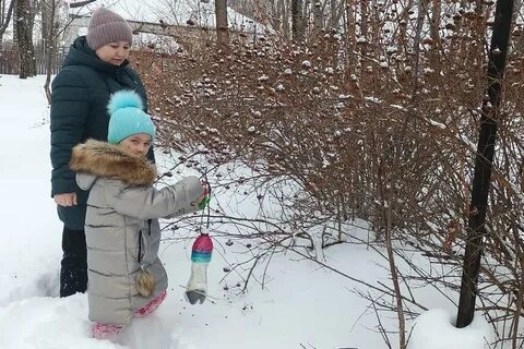 Экологическая акция покормите птиц зимой