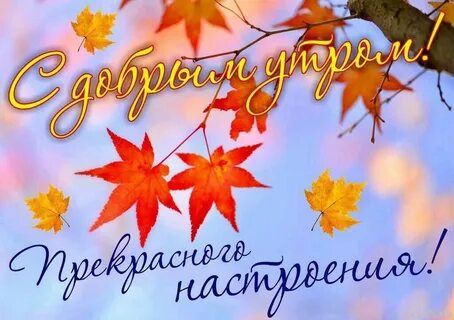 Доброе сентябрьское утро субботы