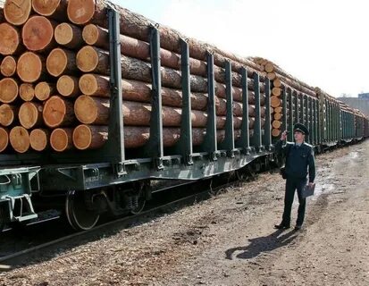 Поставки лесоматериалов