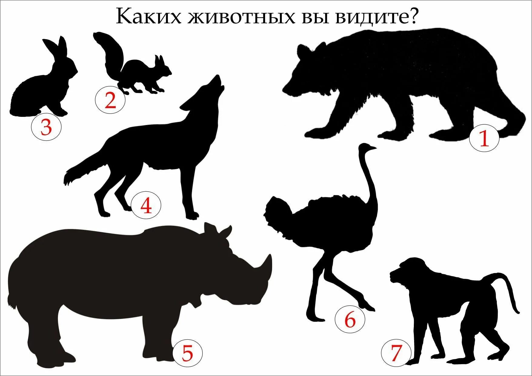 Очертания значение